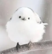aminosanの画像