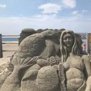 海
