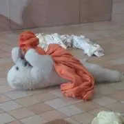まきまき