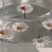 ましゅの画像