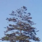 utの画像