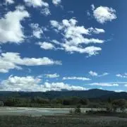 りんご