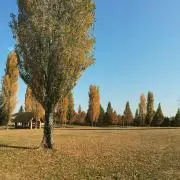 aaaの画像