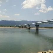 ぽんの画像