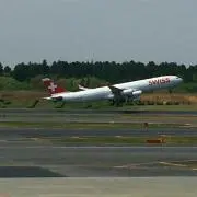 ぽんたの画像