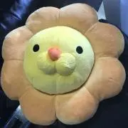 Timmyの画像