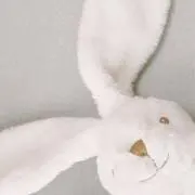 mmの画像