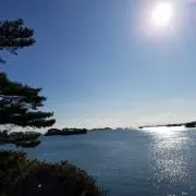 Ny
