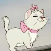 acoの画像