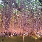 みんと☆の画像