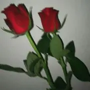 りの画像
