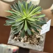 めるの画像