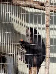 Taikiの画像