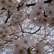 May18の画像