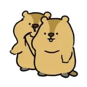 らふ_usedの画像