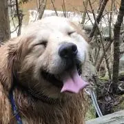 ウーロン