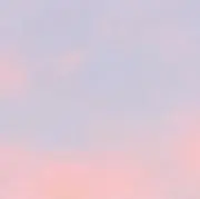 味醂の画像
