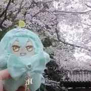 まおらの画像
