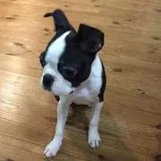 bamuの画像