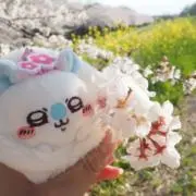 もも