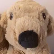 ぽちゃぷりの画像