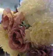 まいの画像