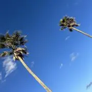 なっつの画像