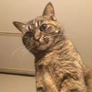 こーちゃ