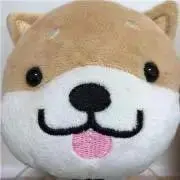 まるころんの画像