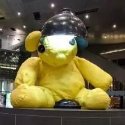 のこのこの画像