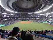 d-t-fの画像