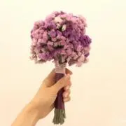*キズナの画像