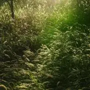 すなかけ