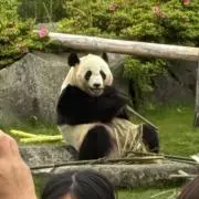 YUMAの画像