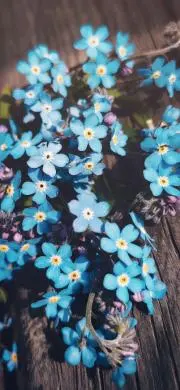 ウルトラ怪獣101ぬいぐるみ91体＋ゴールドバルタン、ゼットン、隊員2体