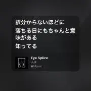 ╰(*´︶`*)╯♡