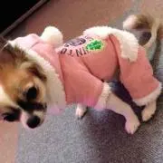 あゆち