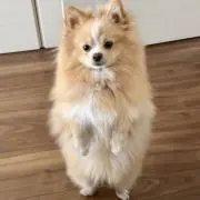 まぁこ