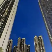 俊俊の画像
