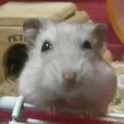 元気！