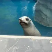 ゆーさん
