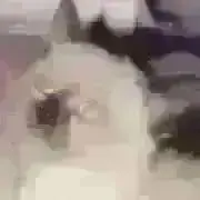 ⭐︎とんぼ358⭐︎