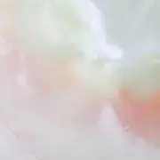 Suzuの画像