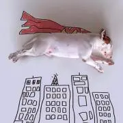 Haaaruuu