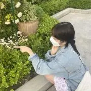 Reanの画像