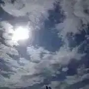 カシューの画像