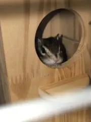 みつの画像