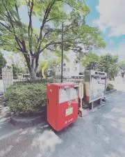 フレッシュマン太郎の画像