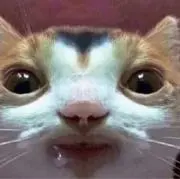 Benski
