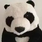 りょうの画像